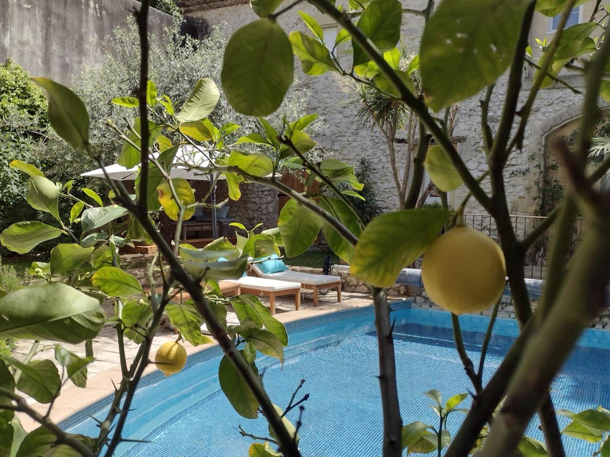 La Maison Des Autres, Piscine Chauffee, Chambres D'Hotes Proches Uzes, Nimes, Pont Du Gard Saint-Genies-de-Malgoires Bagian luar foto