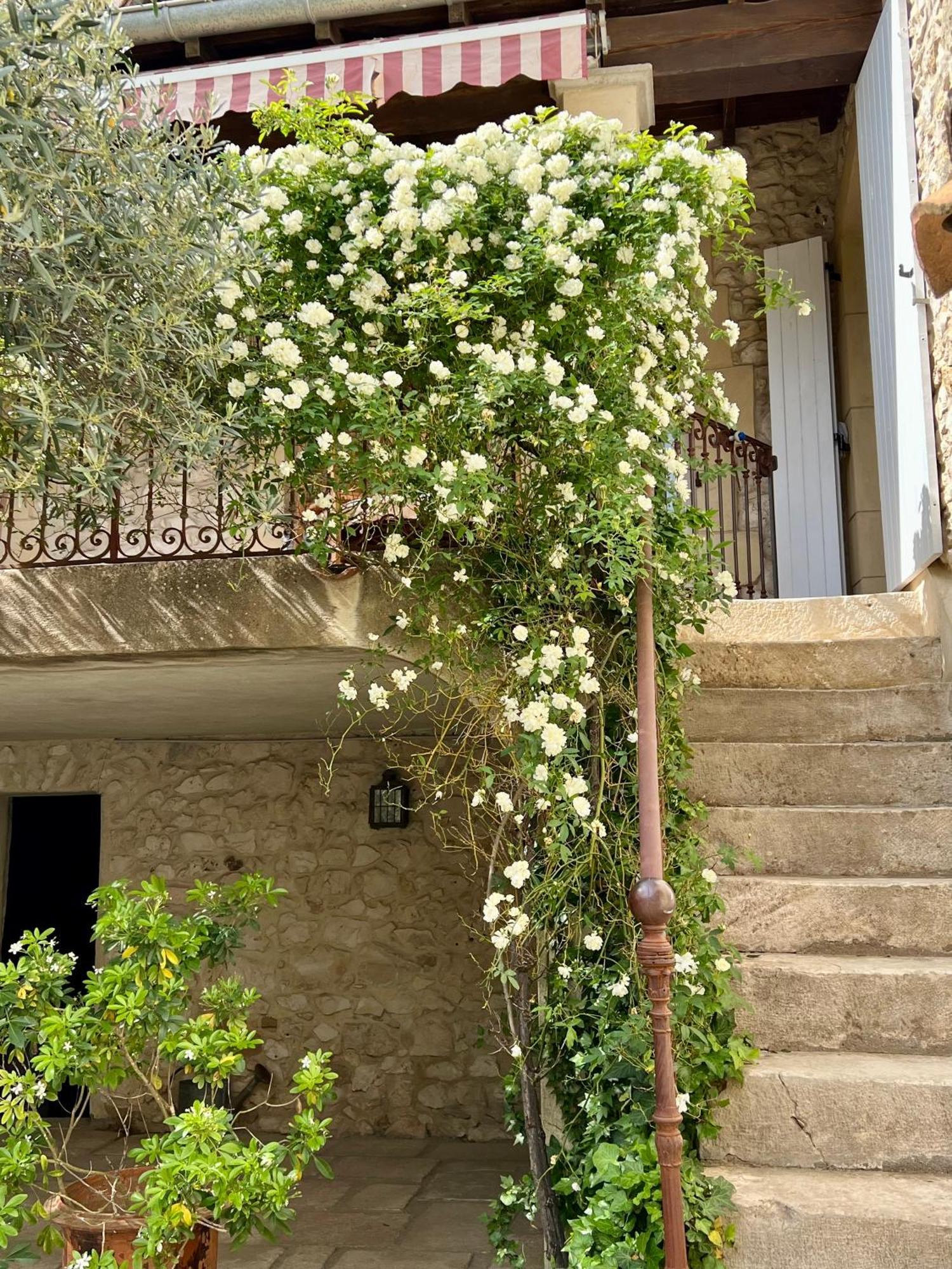 La Maison Des Autres, Piscine Chauffee, Chambres D'Hotes Proches Uzes, Nimes, Pont Du Gard Saint-Genies-de-Malgoires Bagian luar foto